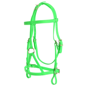 ****PHOTO SAMPLE*** $25 Lime Green Beta Biothane War Bridle Headstall - Horse Size