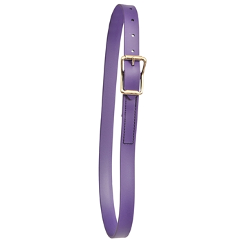 ****PHOTO SAMPLE*** $10 Purple Beta Biothane Neck Collar - Horse Size