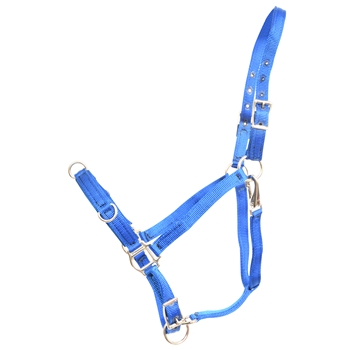 ****PHOTO SAMPLE*** $20 Blue Nylon Lunging Cavesson - Horse Size