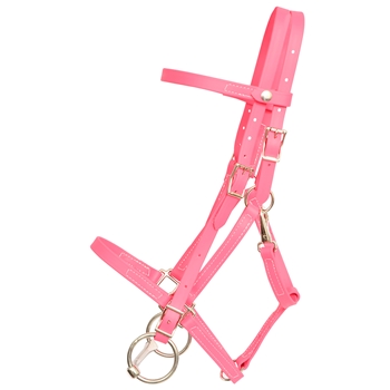 ****PHOTO SAMPLE*** $30 Bubblegum Pink Beta Biothane Quick Change Halter Bridle Headstall - Horse Size