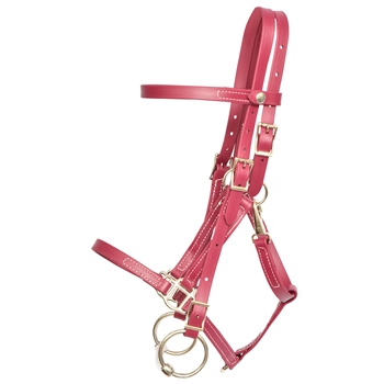 ****PHOTO SAMPLE*** $30 Wine/Maroon Beta Biothane Quick Change Halter Bridle Headstall - Horse Size