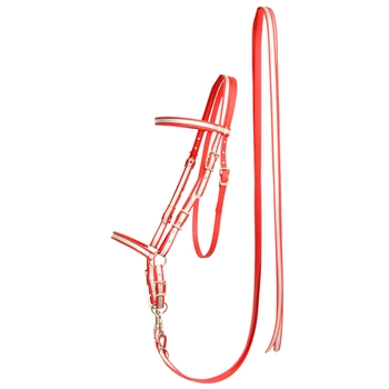 REFLECTIVE Western Style Bitless Bridle