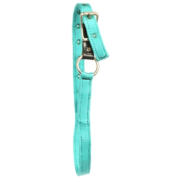 ****CLEARANCE ITEM*** $10 Turquoise Nylon Turnout Neck Collar with Leather Breakaway - Cob Size