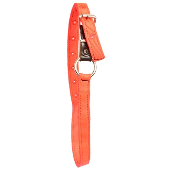 ****CLEARANCE ITEM*** $10 Orange Nylon Turnout Neck Collars with Leather Breakaway - Cob Size