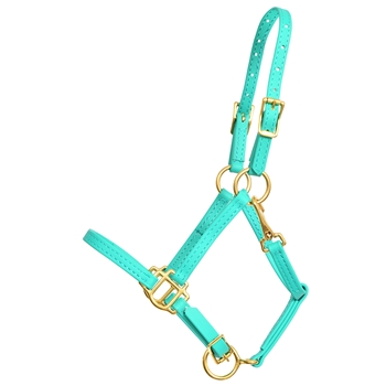 ****CLEARANCE ITEM*** $15 Turquoise Beta Biothane Halter with Throatlatch Snap and Adjustable Chin with Brass Hardware - Small Pony Size