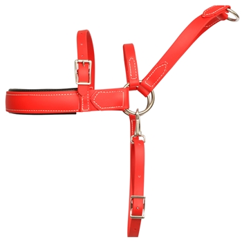 ****CLEARANCE ITEM*** $20 Red Beta Biothane Dog Roading Harness