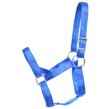 ****CLEARANCE ITEM*** $20 Royal Blue Nylon Heavy Duty Draft Horse Halter - Small Draft Size