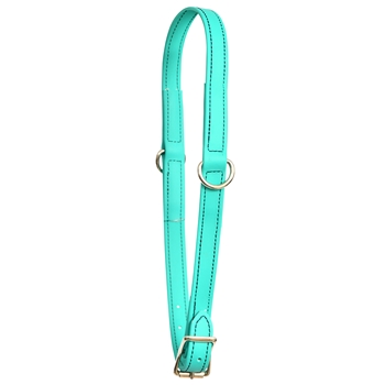 ****PHOTO SAMPLE*** $10 Turquoise Beta Biothane Grooming Neck Collar - Horse Size