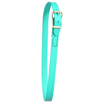 ****PHOTO SAMPLE*** $10 Turquoise Beta Biothane Neck Collar - Horse Size