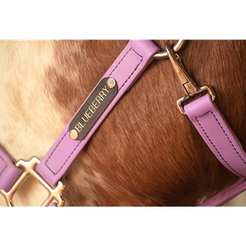 HALTER & LEAD made from BETA BIOTHANE (Solid Colored)