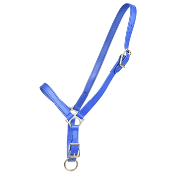 ****PHOTO SAMPLE*** $15 Royal Blue Beta Biothane Grooming Halter - Horse Size