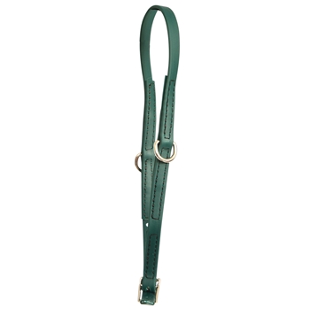 ****PHOTO SAMPLE*** $10 Forest/Hunter Green Beta Biothane Grooming Neck Collar - Large Pony Size