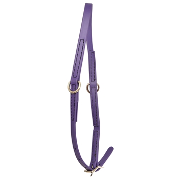 ****PHOTO SAMPLE*** $10 Purple Beta Biothane Grooming Neck Collar - Large Pony Size