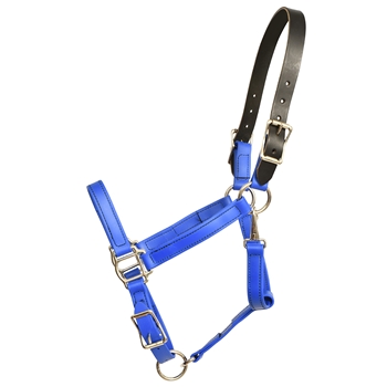 ****PHOTO SAMPLE*** $25 Royal Blue Beta Biothane Safety Halter with Leather Breakaway Crown - Horse Size