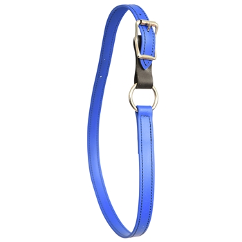 ****PHOTO SAMPLE*** $10 Royal Blue Beta Biothane Turnout Neck Collar with Leather Breakaway Tab - Horse Size