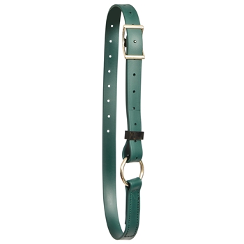 ****PHOTO SAMPLE*** $10 Hunters Green Beta Biothane Adjustable Neck Collar - Horse Size