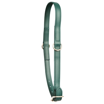 ****PHOTO SAMPLE*** $10 Hunters Green Beta Biothane Grooming Neck Collar - Horse Size