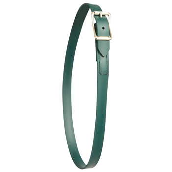 ****PHOTO SAMPLE*** $10 Hunters Green Beta Biothane Neck Collar - Horse Size