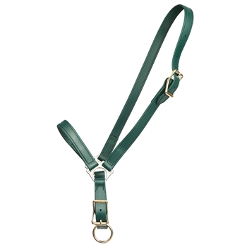 ****PHOTO SAMPLE*** $15 Hunters Green Beta Biothane Grooming Halter - Horse Size