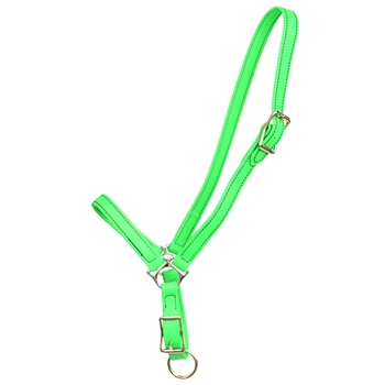 ****PHOTO SAMPLE*** $15 Lime Green Beta Biothane Grooming Halter - Horse Size