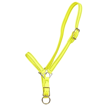 ****PHOTO SAMPLE*** $15 Safety Yellow Beta Biothane Grooming Halter - Horse Size