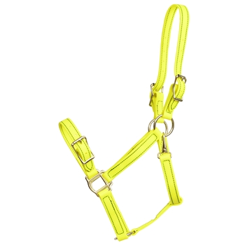 ****PHOTO SAMPLE*** $20 Safety Yellow Beta Biothane Buckle Nose Halter - Horse Size