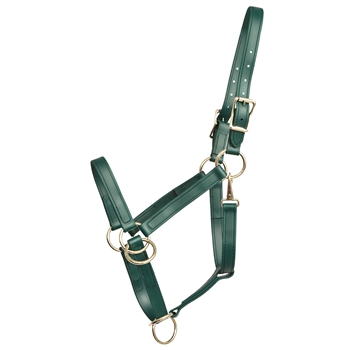 ****PHOTO SAMPLE*** $20 Hunters Green Beta Biothane Pack Horse Halter - Horse Size