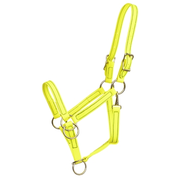 ****PHOTO SAMPLE*** $20 Safety Yellow Beta Biothane Pack Horse Halter - Horse Size