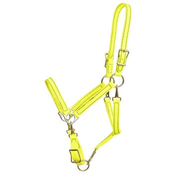 ****PHOTO SAMPLE*** $25 Safety Yellow Beta Biothane 5 Snap Convertible Grooming/Halter - Horse Size