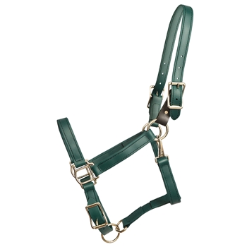 ****PHOTO SAMPLE*** $25 Hunters Green Beta Biothane Safety Halter with Leather Breakaway Tab - Horse Size