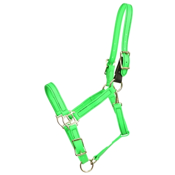 ****PHOTO SAMPLE*** $25 Lime Green Beta Biothane Safety Halter with Leather Breakaway Tab - Horse Size