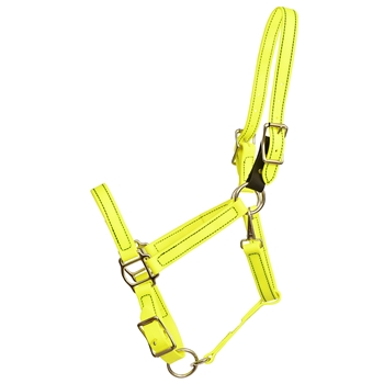 ****PHOTO SAMPLE*** $25 Safety Yellow Beta Biothane Safety Halter with Leather Breakaway Tab - Horse Size