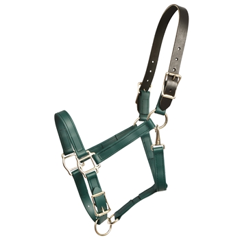 ****PHOTO SAMPLE*** $25 Hunters Green Beta Biothane Safety Halter with Leather Breakaway Crown - Horse Size