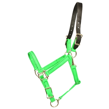 ****PHOTO SAMPLE*** $25 Lime Green Beta Biothane Safety Halter with Leather Breakaway Crown - Horse Size