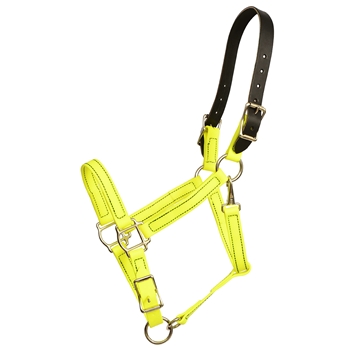 ****PHOTO SAMPLE*** $25 Safety Yellow Beta Biothane Safety Halter with Leather Breakaway Crown - Horse Size