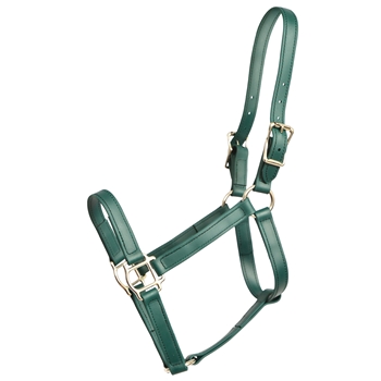 ****PHOTO SAMPLE*** $20 Hunters Green Beta Biothane Halter - Horse Size