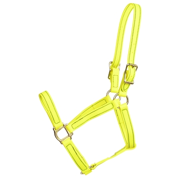 ****PHOTO SAMPLE*** $20 Safety Yellow Beta Biothane Halter - Horse Size