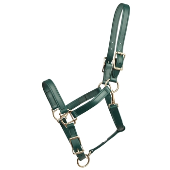 ****PHOTO SAMPLE*** $20 Hunters Green Beta Biothane Halter with Adjustable Chin and Throatlatch Snap - Horse Size