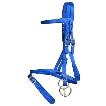 ****CLEARANCE ITEM*** $15 Blue Nylon English Bridle Headstall with Flash Noseband Cavesson - Horse Size