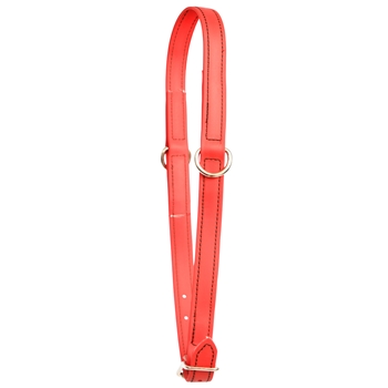 ****CLEARANCE ITEM*** $10 Red Beta Biothane Grooming Neck Collar - Horse Size