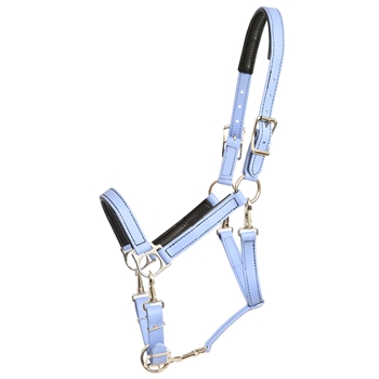 NEOPRENE PADDED Beta Biothane 5 Snap Convertible Halter