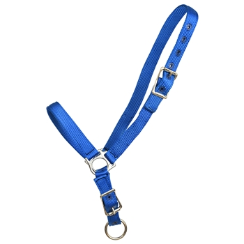 ****PHOTO SAMPLE*** $10 Royal Blue Nylon Grooming Halter - Horse Size