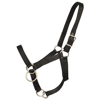 ****PHOTO SAMPLE*** $15 Black Nylon Pack Horse Halter - Horse Size