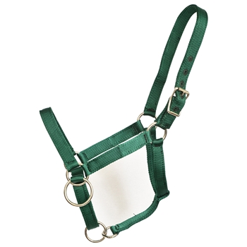 ****PHOTO SAMPLE*** $15 Hunter Green Nylon Pack Horse Halter - Horse Size