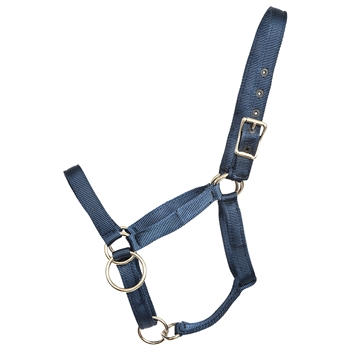 ****PHOTO SAMPLE*** $15 Navy Blue Nylon Pack Horse Halter - Horse Size