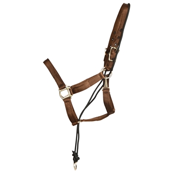 ****PHOTO SAMPLE*** $15 Brown Nylon No Pullback Halter - Horse Size
