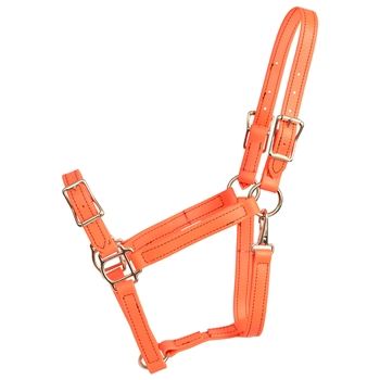 ****PHOTO SAMPLE*** $20 Orange Beta Biothane Buckle Nose Halter - Horse Size