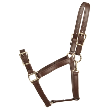 ****PHOTO SAMPLE*** $20 Dark Brown Beta Biothane Buckle Nose Halter - Horse Size