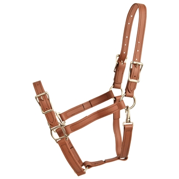 ****PHOTO SAMPLE*** $20 Medium Brown Beta Biothane Buckle Nose Halter - Horse Size