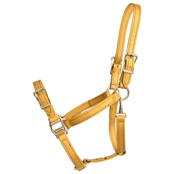 ****PHOTO SAMPLE*** $20 Gold Beta Biothane Buckle Nose Halter - Horse Size